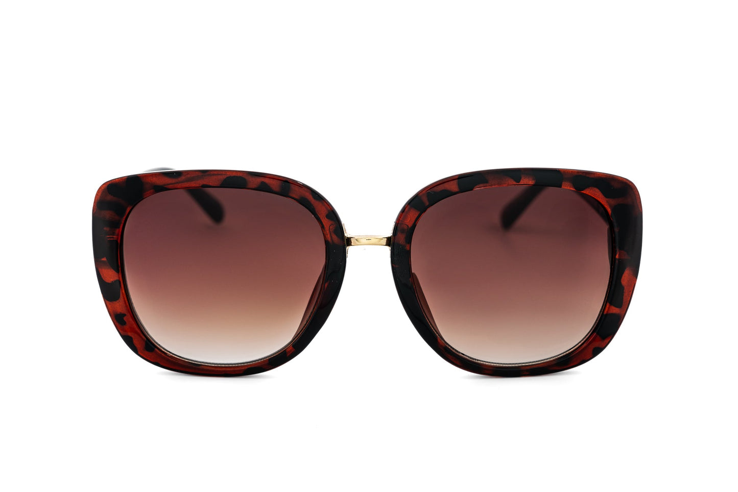 Calyra – Oversized Cat-Eye Sunglasses | Bolero Eyewear-4